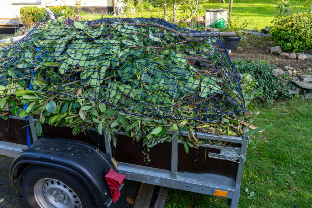 Trusted Grasonville, MD Junk Removal Services Experts